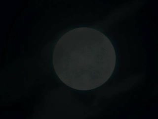 Heritage From Father_Vol.1