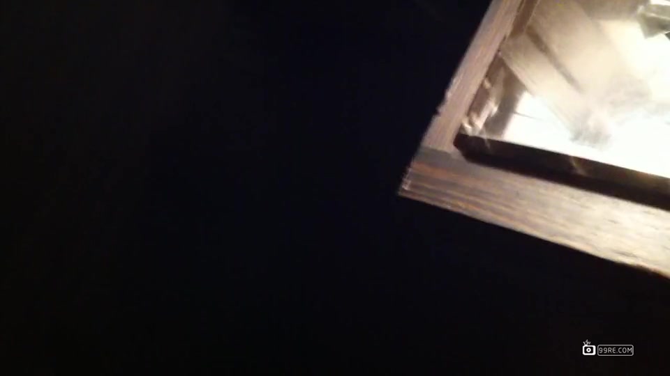 李宗瑞之victoria