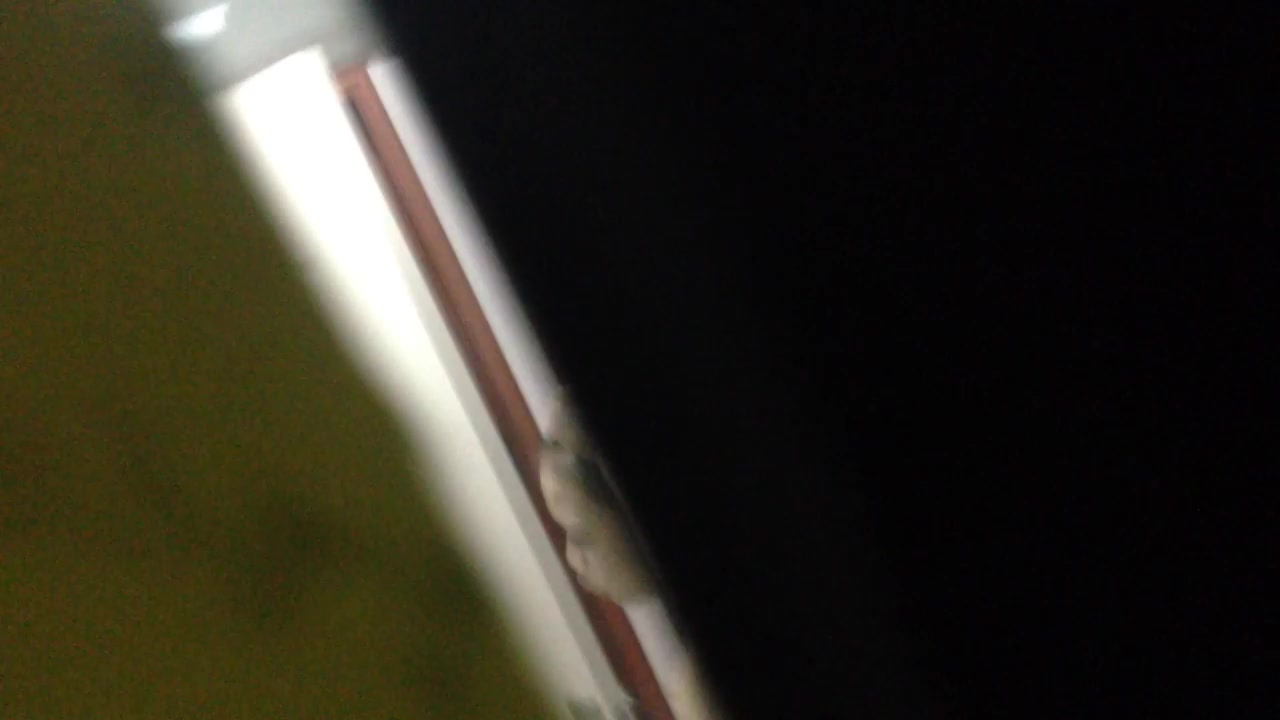 大眼睛小妹洗澡偷拍