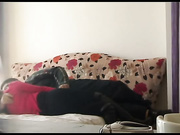 土豪胖哥上了一个屁股性感的绝色美女,好白菜被猪拱